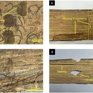 Manuscript conservation detail